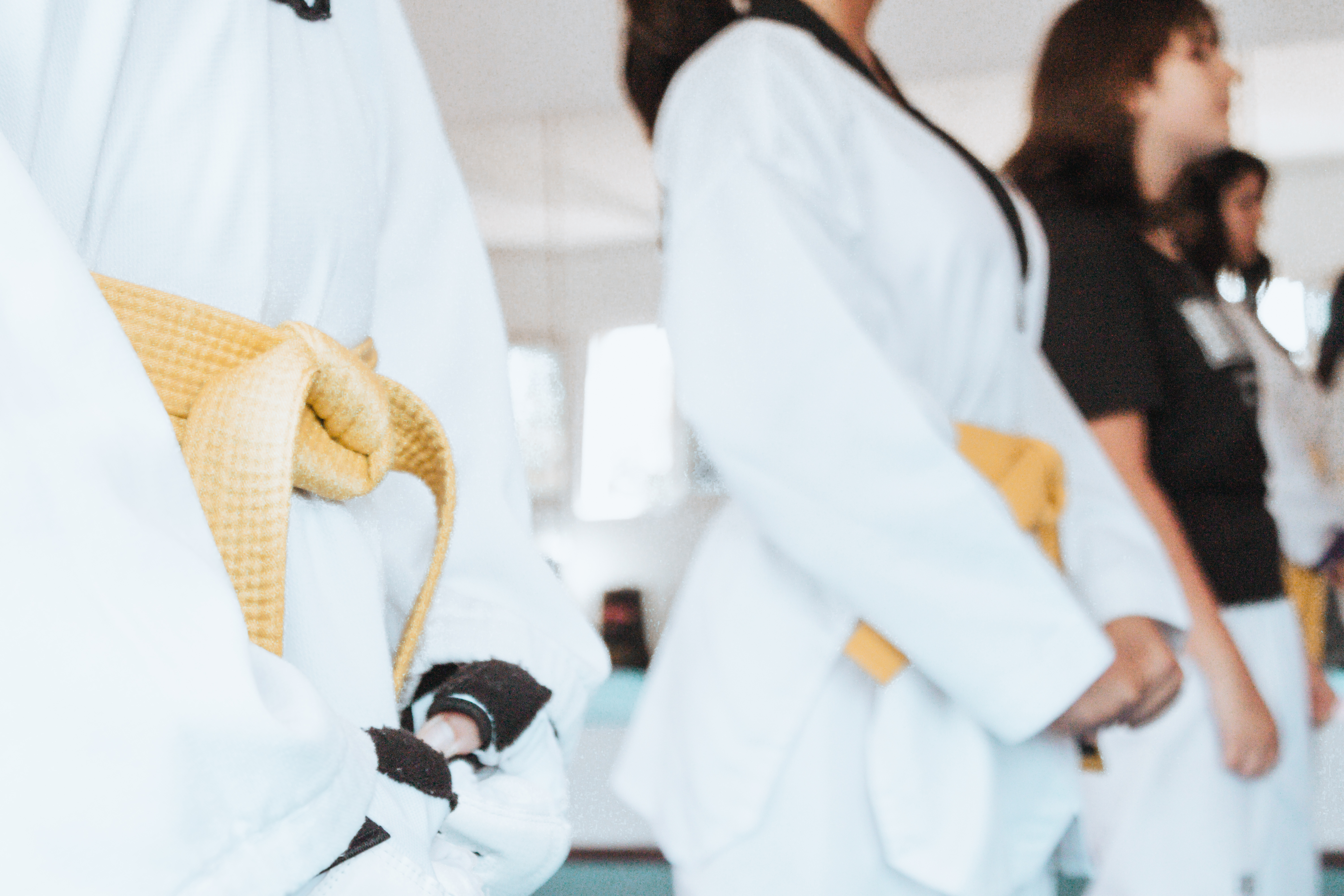 estudiantes de taekwondo formados, disciplina marcial.